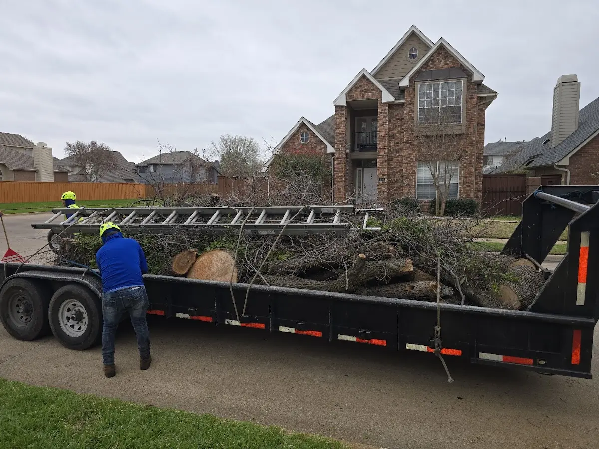 Expert Tree Pest Control with proper safety equipment in Great Falls